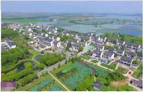 吴江东联村新闻爆料,揭秘乡村振兴新亮点 第2张 吴江东联村新闻爆料,揭秘乡村振兴新亮点 第2张